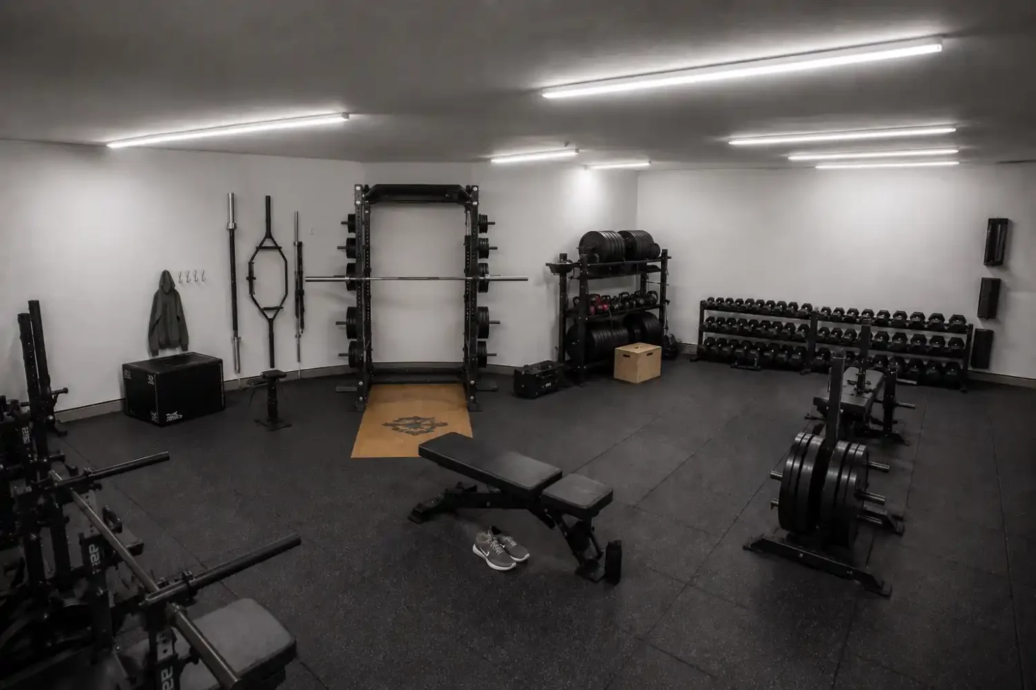 Garage gym shown from an elevated angle with lighting fixtures spread across the rack, open floor, and dumbbell zones.